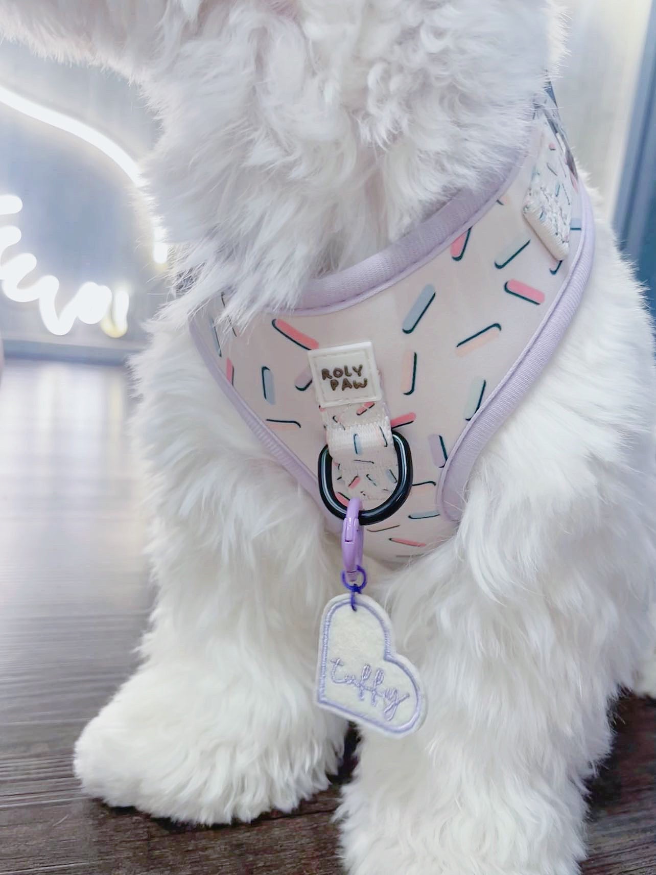 Birthday Confetti Harness