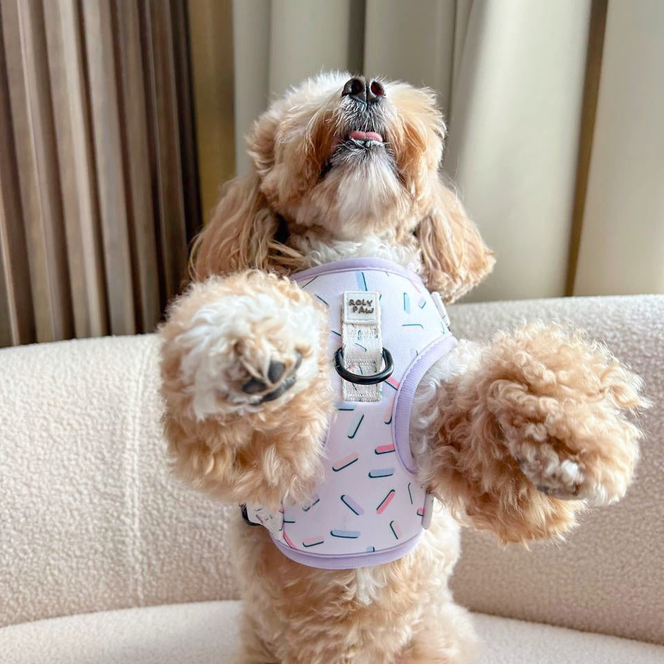 Birthday Confetti Harness
