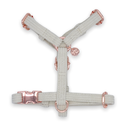 Corduroy H-Harness in Ivory