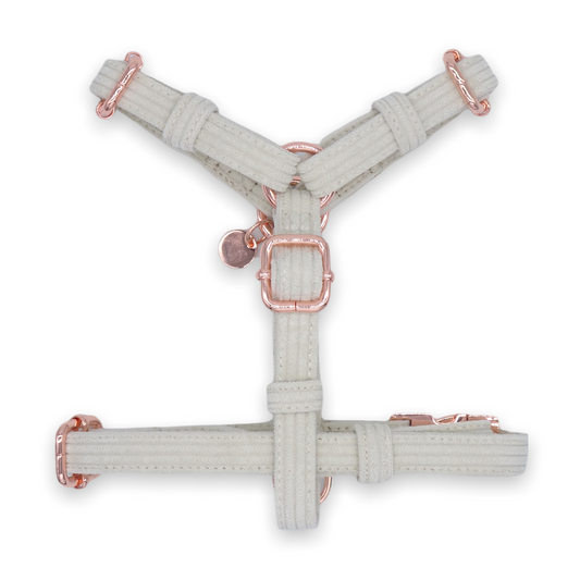 Corduroy H-Harness in Ivory