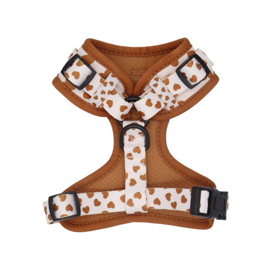 Forever Choco Harness